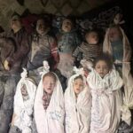إنّني أعوي يا إخوتي البائسين